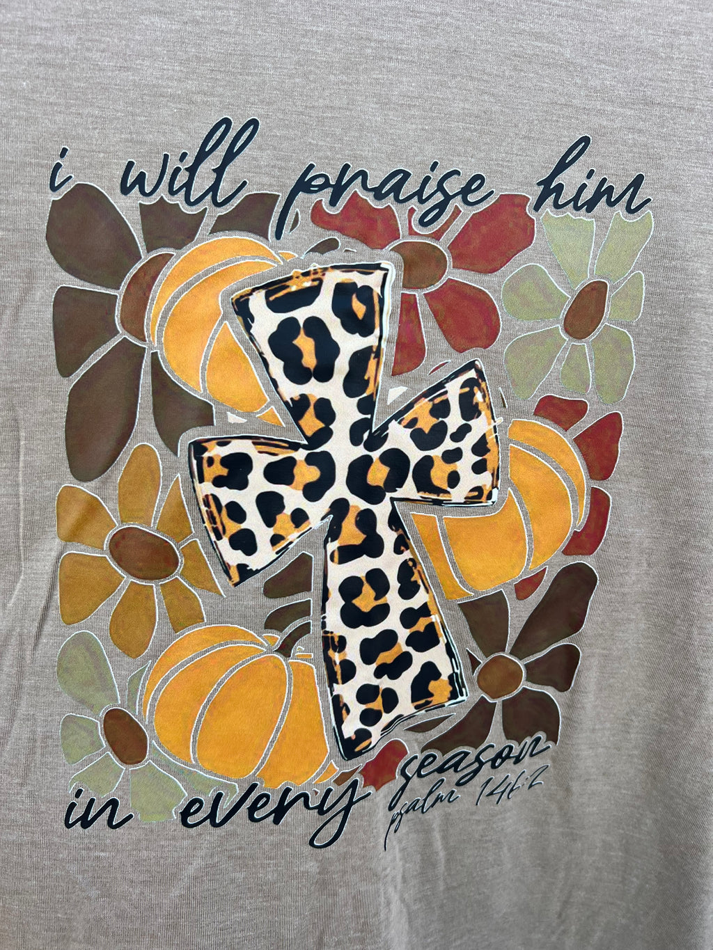 Praise In Every Season T